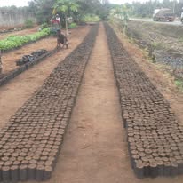 SAHO team members working in the field